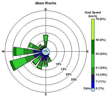 Woche windRose